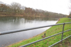 Am-Deich-Foto-2