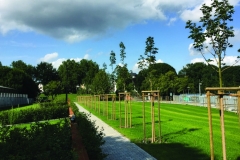 Weserstadion-Hochwasserschutz-Plus-3