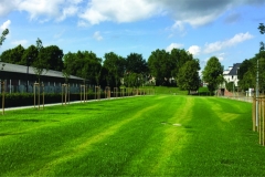 Weserstadion-Hochwasserschutz-Plus-5