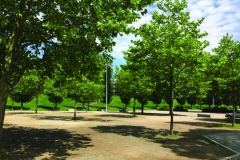 Weserstadion-Hochwasserschutz-Plus-6