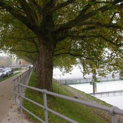 Weseruferpromenade Am Deich