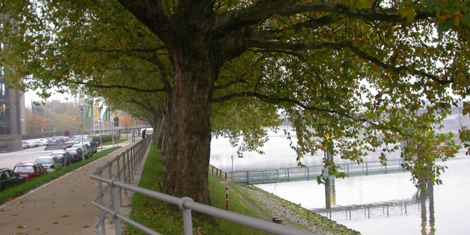 Weseruferpromenade Am Deich